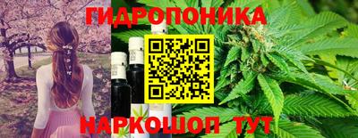 гашишное масло Гатчина