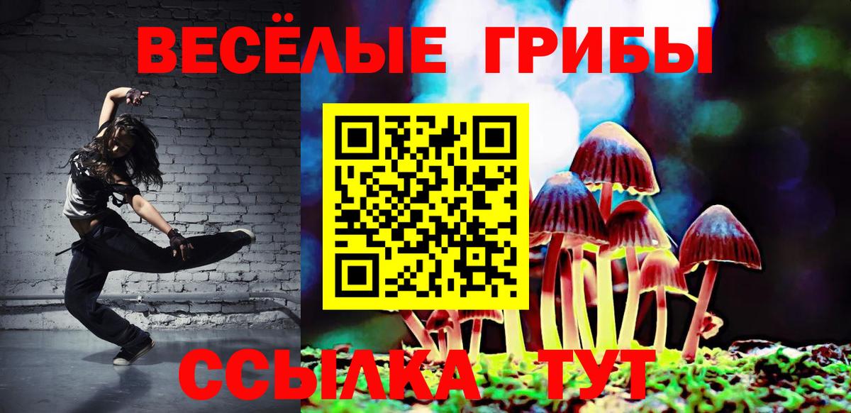 где продают   Вход с VPN  Галлюциногенные грибы мицелий  Малоярославец  Галлюциногенные грибы GOLDEN TEACHER 